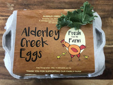 Load image into Gallery viewer, Freezer Filler